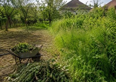 Elhanyagolt kert rendbetétele bozótirtással és zöldhulladék összegyűjtésével