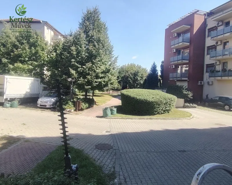Társasházi zöldterület gondozása | KERTÉSZ Művek Gondozott társasházi zöldterület nyírt sövénnyel és fákkal