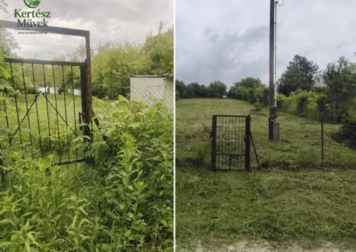 Elhanyagolt, magas növényzettel benőtt terület megtisztítása előtte és utána