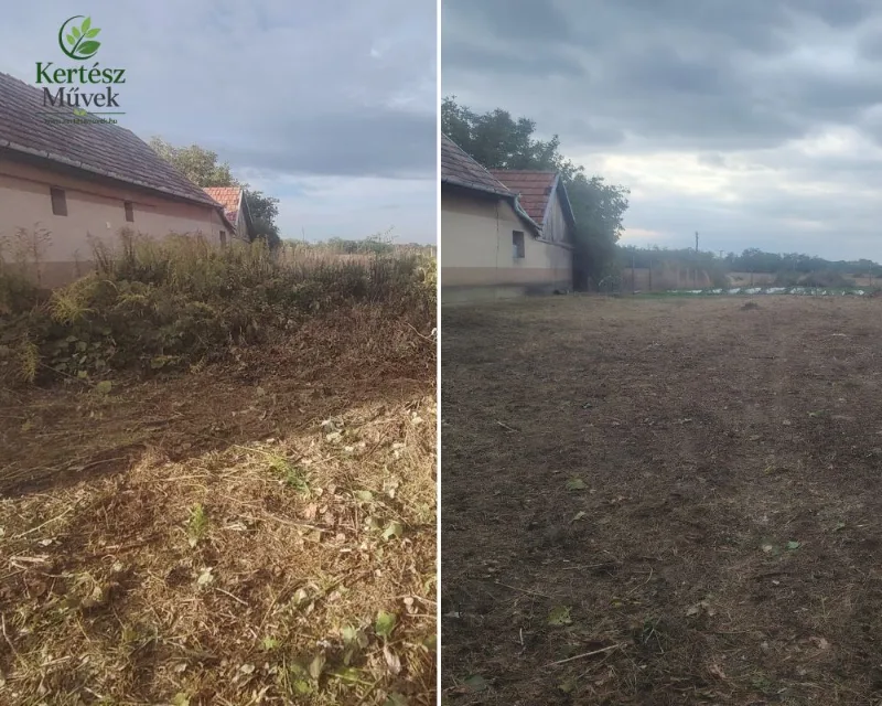 Telektisztítás és bozótirtás | KERTÉSZ Művek Elhanyagolt, gazos terület megtisztítása előtte és utána