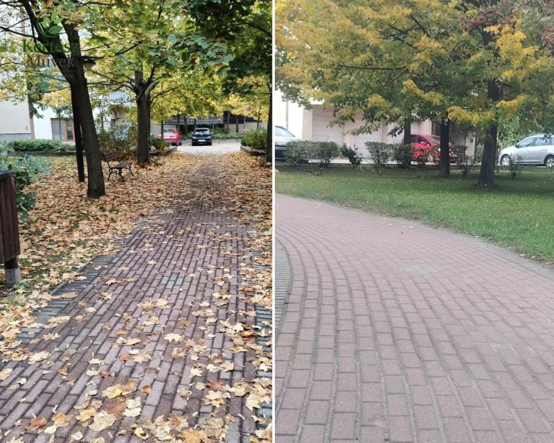 Őszi lombtakarítás és területrendezés | KERTÉSZ Művek Lehullott falevelekkel borított járda megtisztítása előtte és utána
