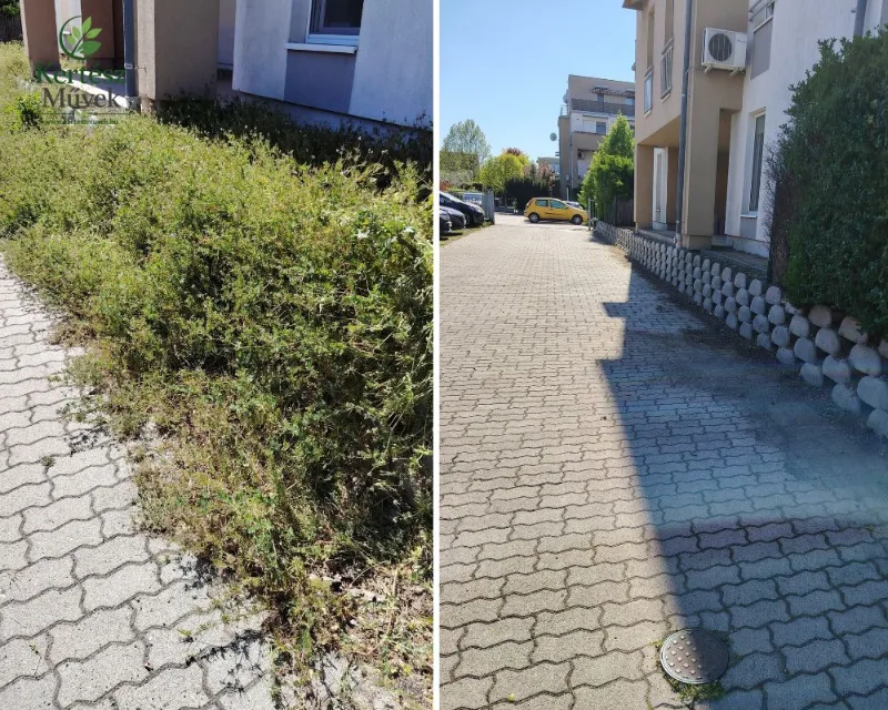 Térköves udvar gyommentesítése | KERTÉSZ Művek Elgazosodott térköves udvar megtisztítása előtte és utána