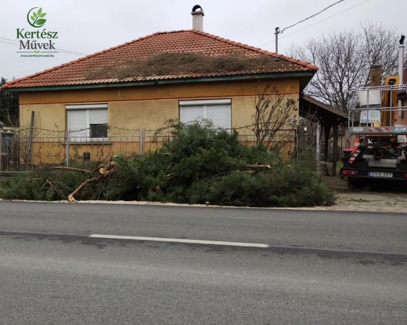 Faágak eltávolítása és zöldhulladék | KERTÉSZ Művek Levágott faágak és zöldhulladék családi ház előtt