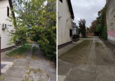 Benőtt udvari járda megtisztítása előtte és utána