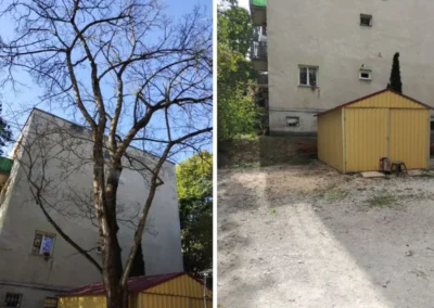 Fa kivágása társasházi udvarban előtte és utána